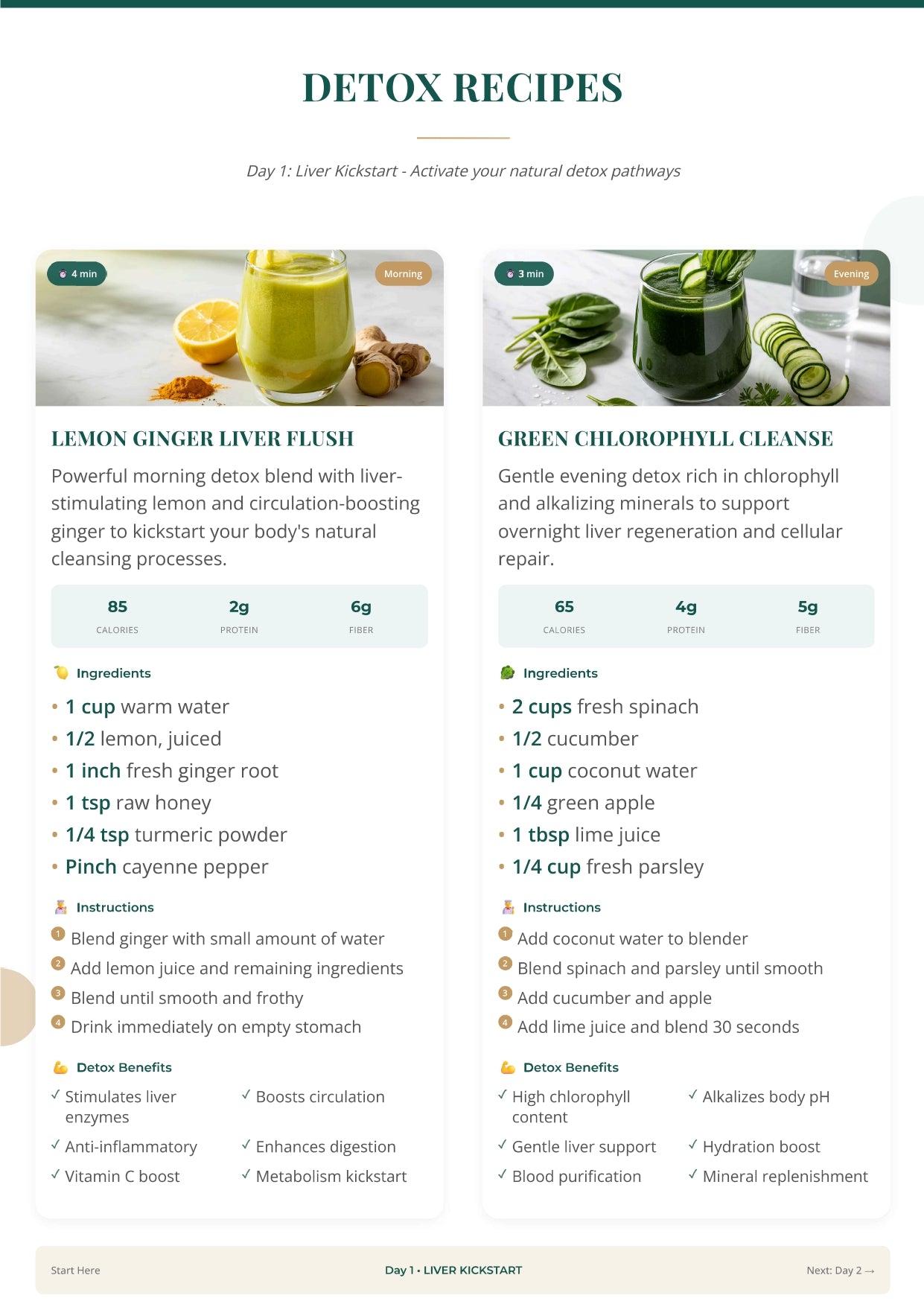 Smoothie Revolution Diet Programs - Digital PDF Ebook