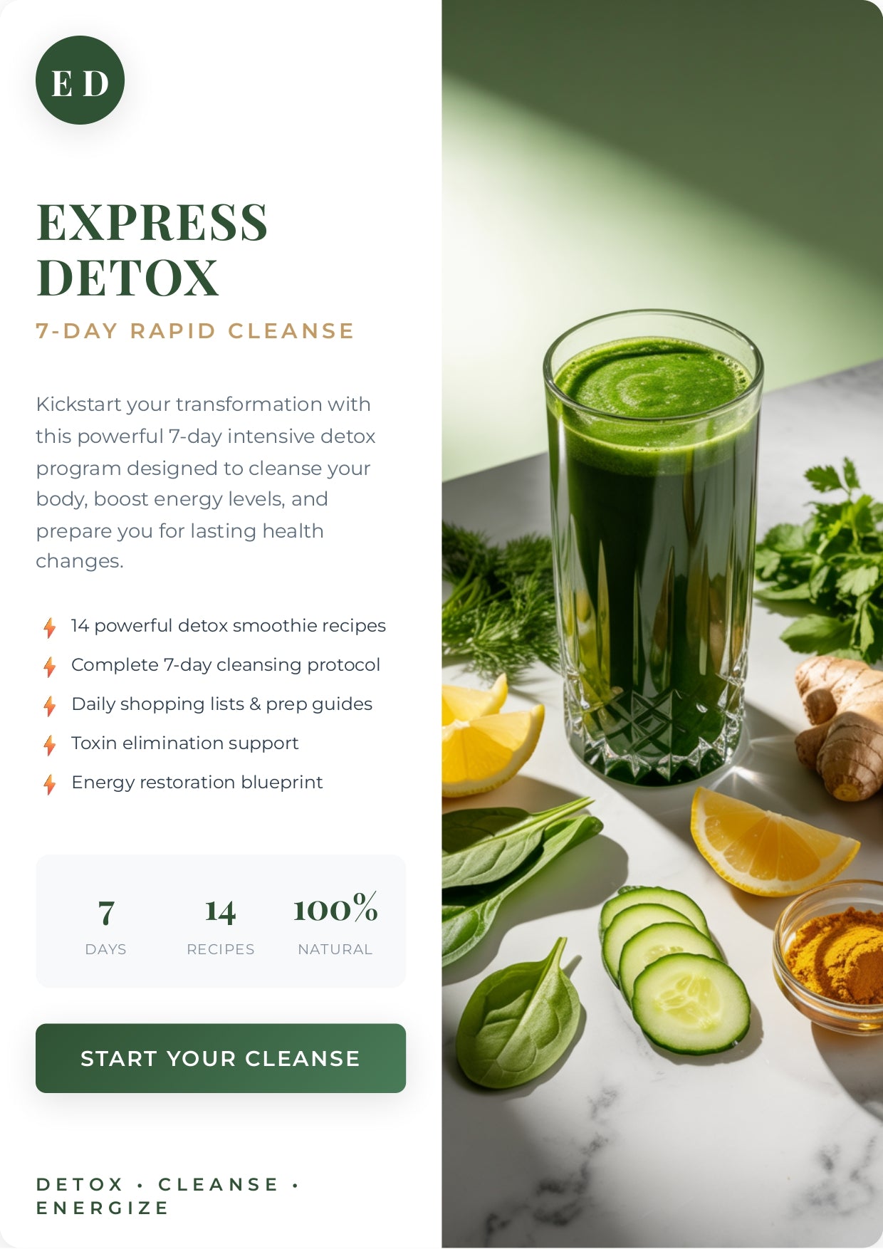 Smoothie Revolution Diet Programs - Digital PDF Ebook